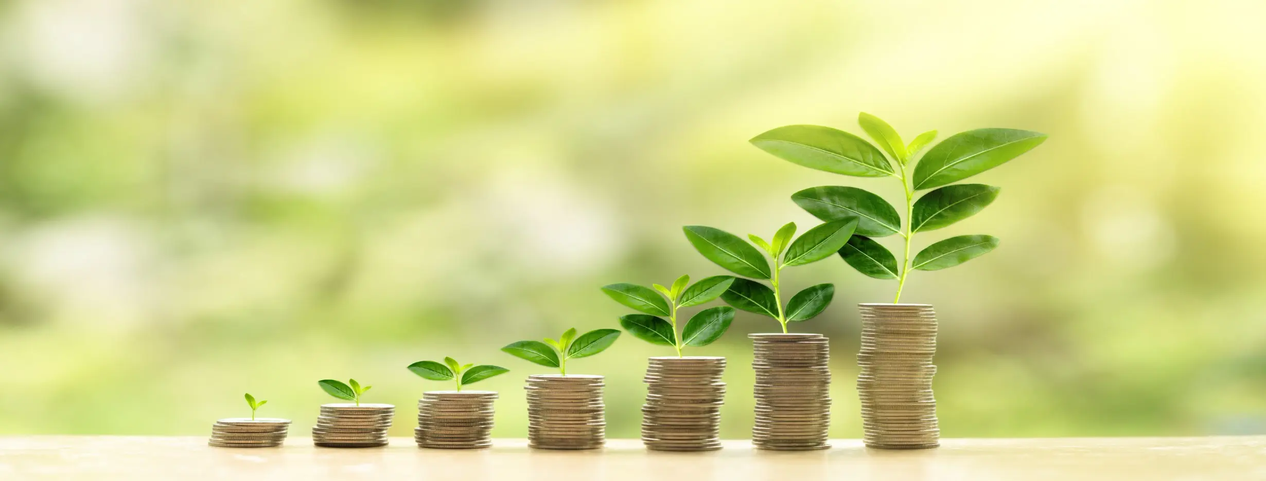 Image for Investment Growth